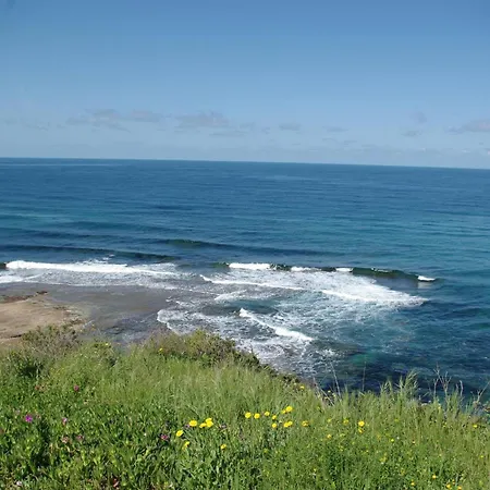 S'alzolitta Magomadas